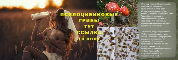 PSILOCYBIN Алексеевка
