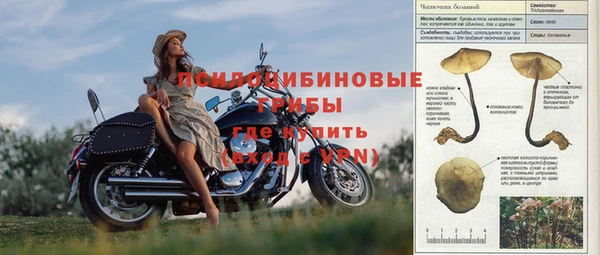 mdpv Алексин